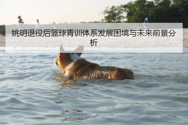 姚明退役后篮球青训体系发展困境与未来前景分析